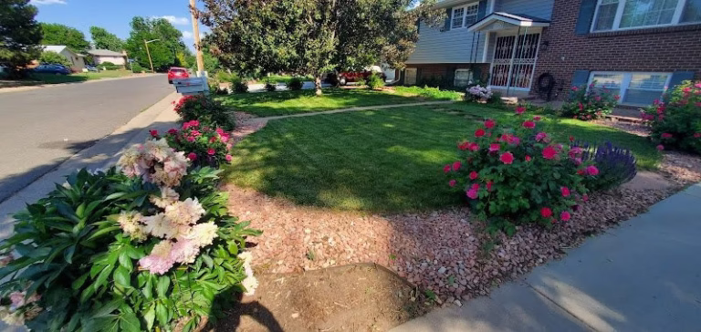 172047 lawn doctor 768x364