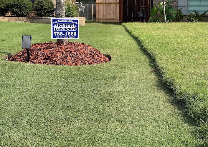 172100 elite lawn care