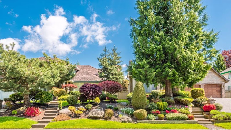 172111 felipes lawn care 1