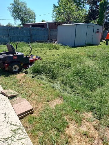 172114 pro outlook tree lawn service