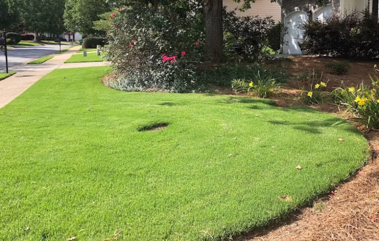 172198 think green lawn service 768x490