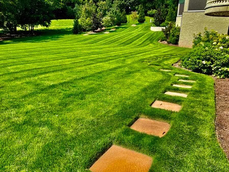 172246 mr. lawn care