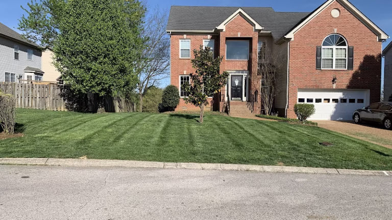 172254 george brothers lawn solutions 1 768x432