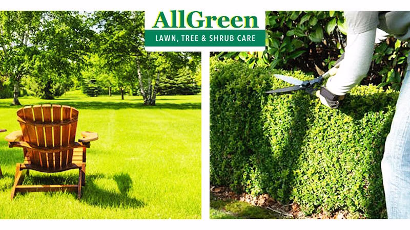 172374 allgreen lawn tree tick mosquito control