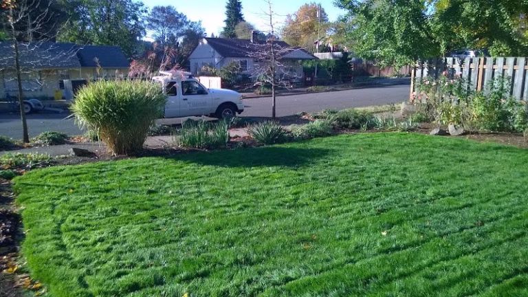 172450 clean air lawn care portland east 768x432