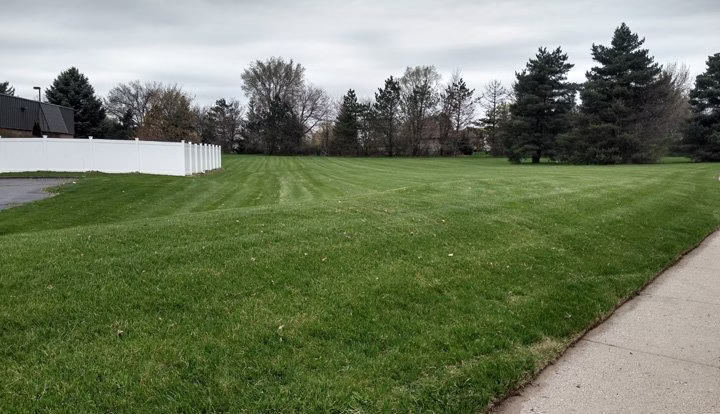 172495 re vitalize yard home services llc