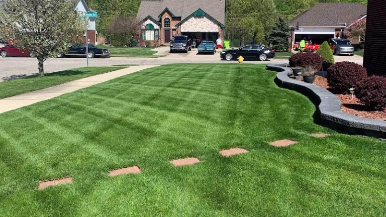 172507 big lakes lawncare 768x432