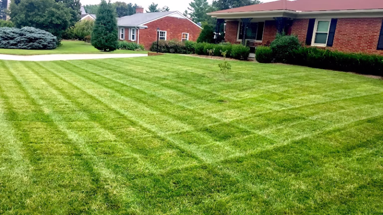 172642 turf club lawn landscape 768x432