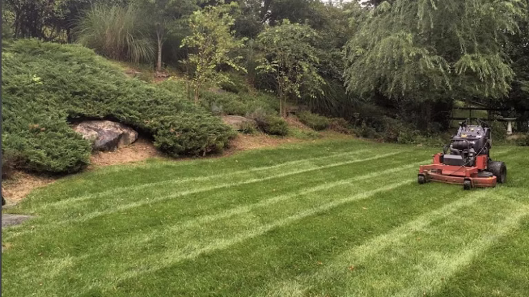 172681 green thumb yard care llc 768x432