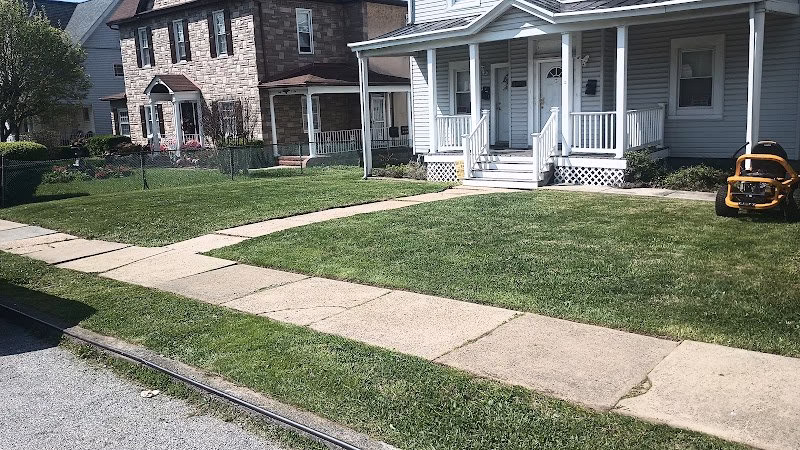 172707 lucci lawn care service