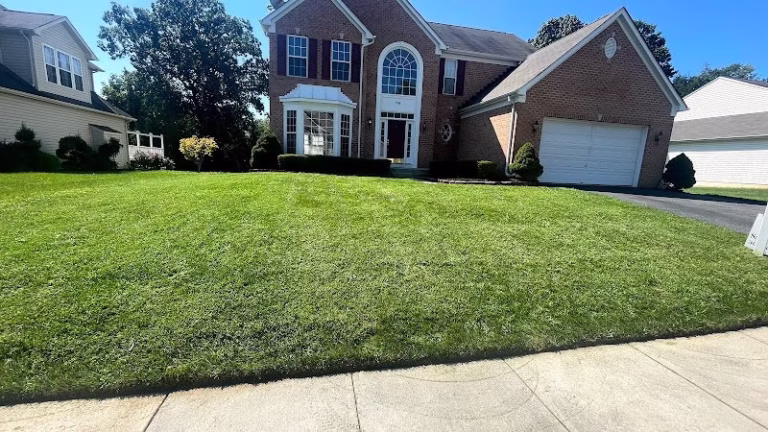 172740 beautiful lawns of maryland llc 768x432