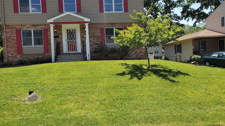 172768 bold designs lawn care llc 768x432