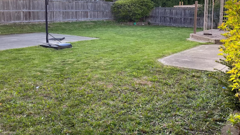 172794 rdgzmke lawn care services 1 768x432