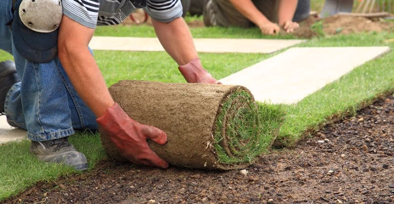 172806 wisconsin property services llc