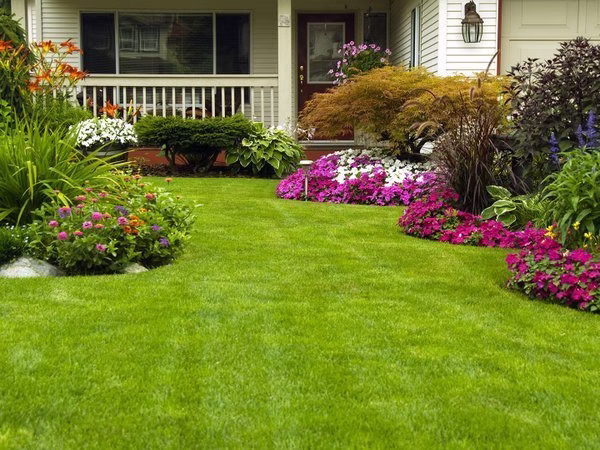 172808 swinter lawn care service