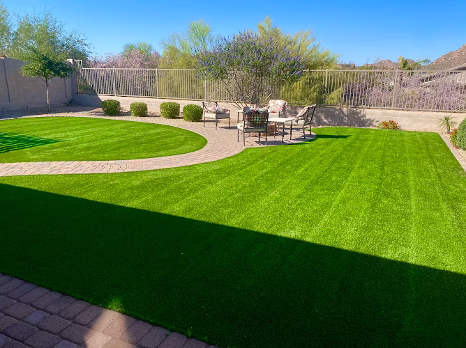 172979 lush artificial turf cleaning