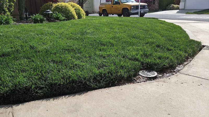 173013 lantscap gardening