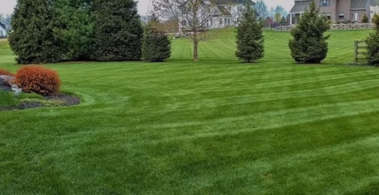 173251 phillips mowing 768x396