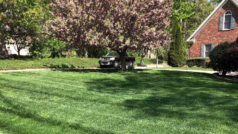 173390 wake forest lawn service 768x432