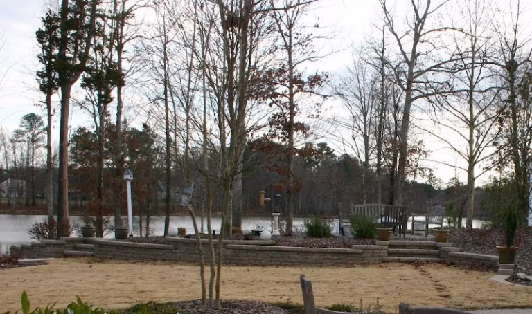 173423 taproot 768x454