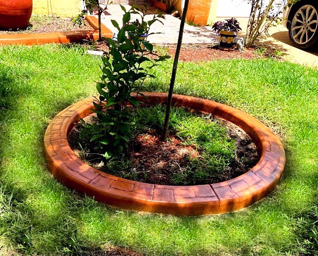 173470 complete lawn services hialeah