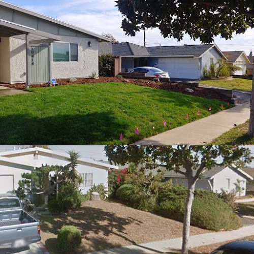 173493 reliable landscape service