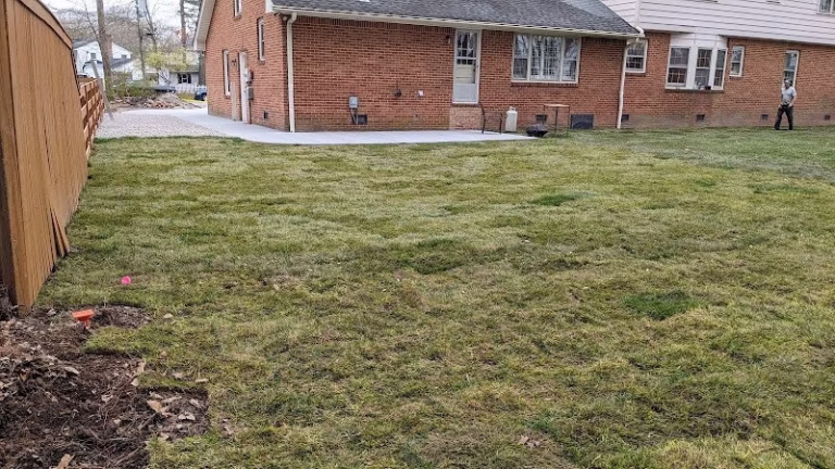 173545 beach squirrel lawn care 768x432