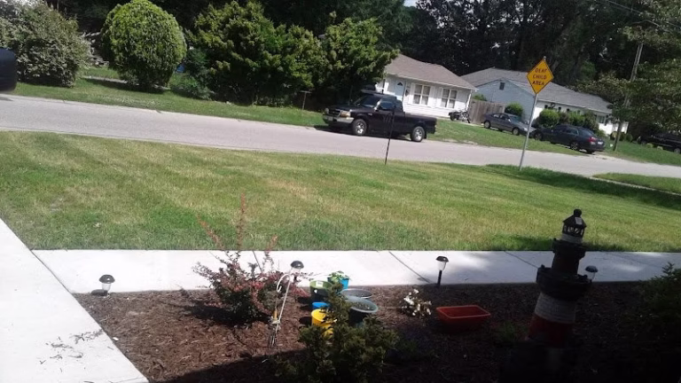 173553 tip top yard care more 768x432