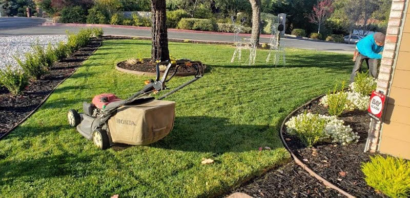 173628 santas cleaning landscaping services