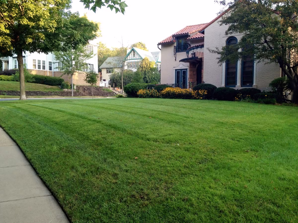 173631 parkway lawn service inc