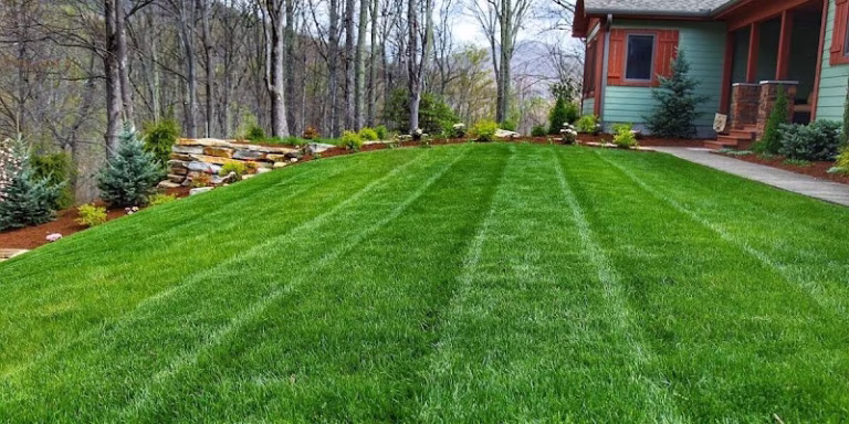 173655 hs professionals lawncare and feild services inc 768x384