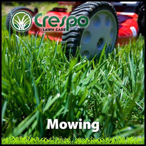 173670 crespo lawn care llc