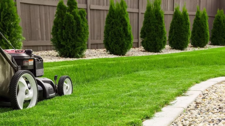 173690 a z lawncare llc 768x432