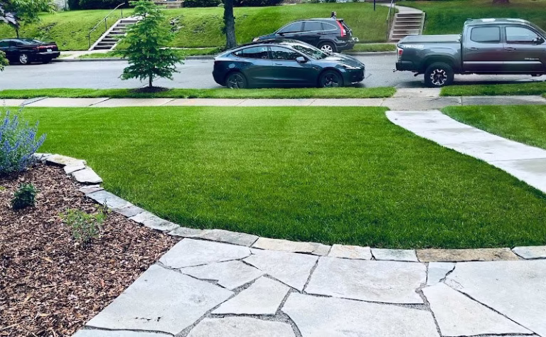 173710 organic lawns by lunseth 768x474