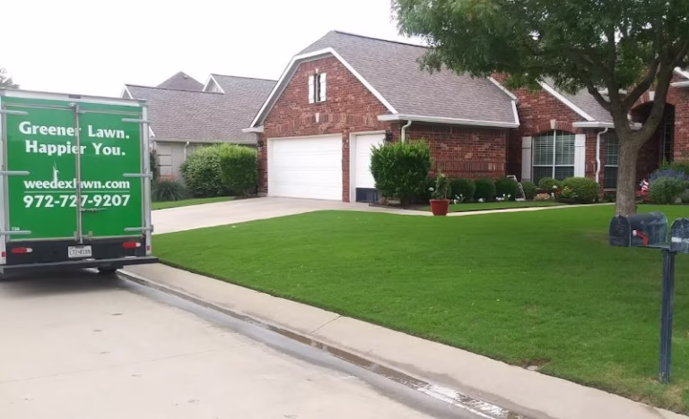 173902 weedex lawn care 768x468