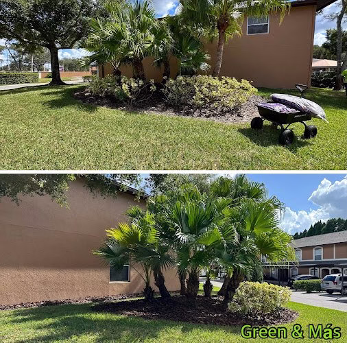 173915 green mas landscape services