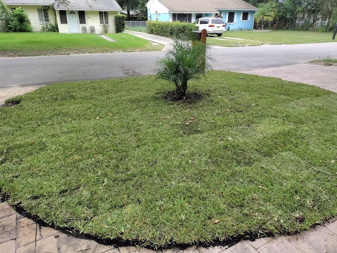 173963 burtons best quality turf and pest