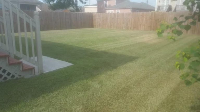 174001 lawn stars nola 768x432