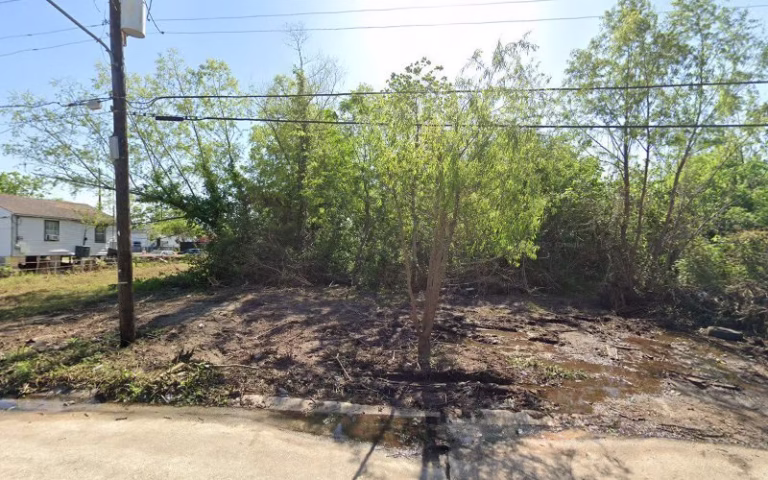 174038 peetys 1 768x480