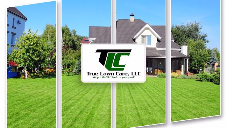 174051 true lawn care llc 768x432