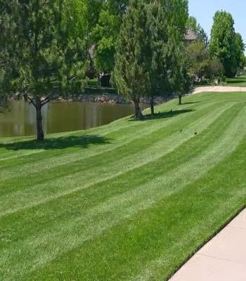 174064 hay lawn care