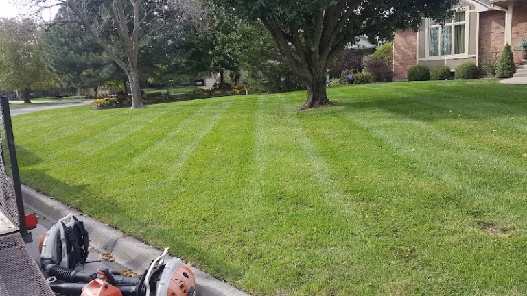 174081 totheroot lawn care 768x432