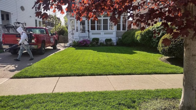 174173 mr. greens lawn care 768x432