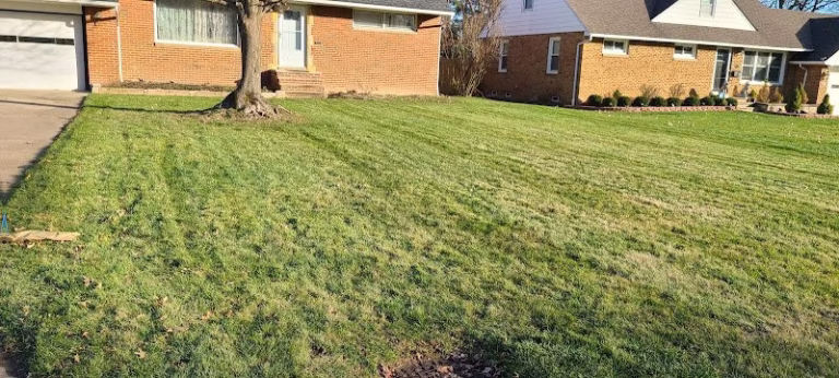 174230 sicnarf services 768x346