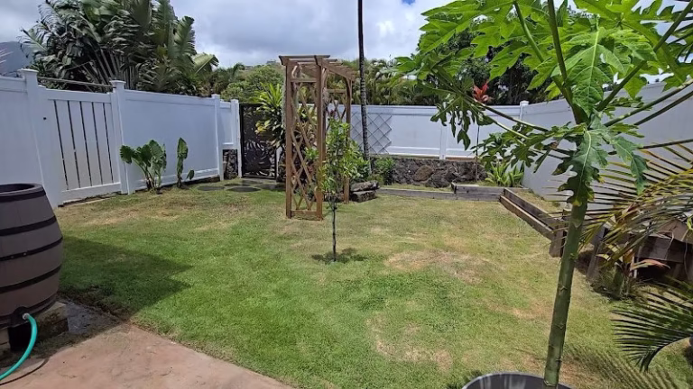 174323 zenscape hawaii 768x432