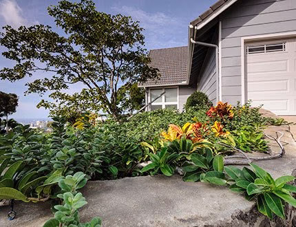 174325 mulkern landscaping nursery