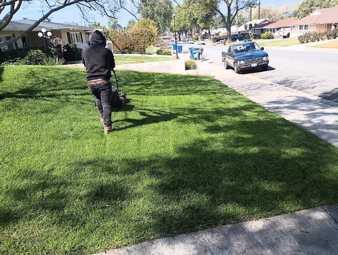 174359 candelario landscaping services