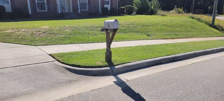 176280 buena vista landscaping llc 768x346