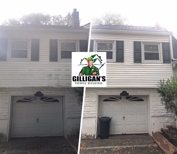 176360 gilligans power washing