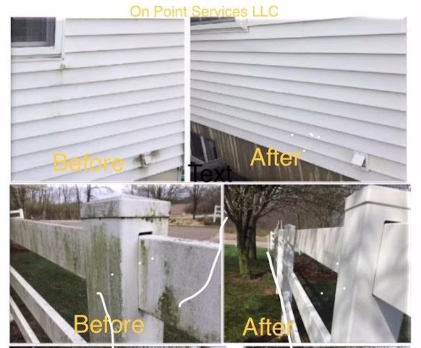 176429 onpoint services